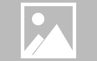 荣成斑马网站高清素材视频（斑马视频最新版）